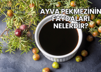 Ayva Pekmezinin Faydaları Nelerdir?