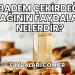 Badem Çekirdeği Yağının Faydaları Nelerdir?