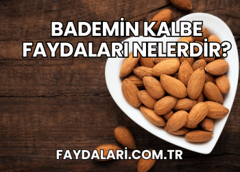 Bademin Kalbe Faydaları Nelerdir?