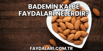 Bademin Kalbe Faydaları Nelerdir?