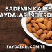 Bademin Kalbe Faydaları Nelerdir?