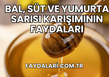 Bal, Süt ve Yumurta Sarısı Karışımının Faydaları
