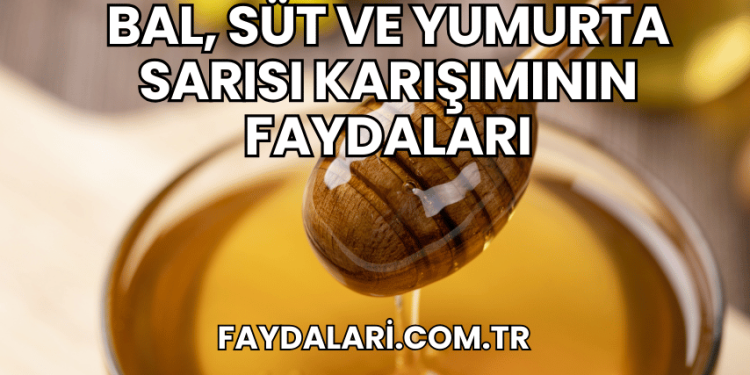 Bal, Süt ve Yumurta Sarısı Karışımının Faydaları