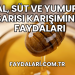 Bal, Süt ve Yumurta Sarısı Karışımının Faydaları