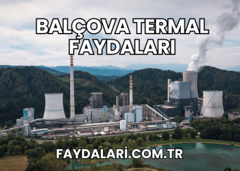 Balçova Termal Faydaları