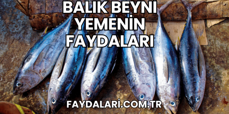 Balık Beyni Yemenin Faydaları