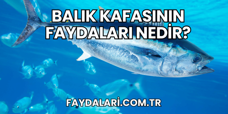 Balık Kafasının Faydaları Nedir?