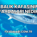 Balık Kafasının Faydaları Nedir?
