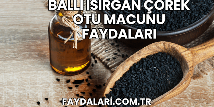 Ballı Isırgan Çörek Otu Macunu Faydaları