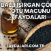 Ballı Isırgan Çörek Otu Macunu Faydaları