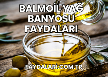 Balmoil Yağ Banyosu Faydaları