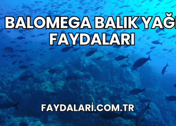 Balomega Balık Yağı Faydaları