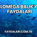 Balomega Balık Yağı Faydaları