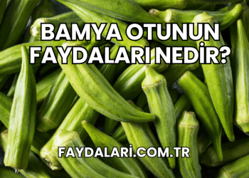 Bamya Otunun Faydaları Nedir?