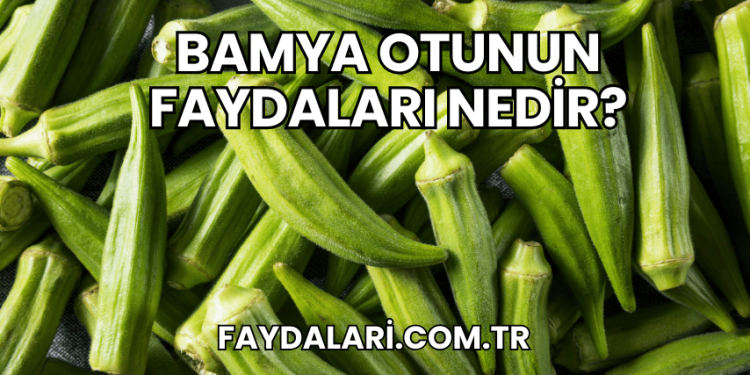Bamya Otunun Faydaları Nedir?