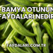 Bamya Otunun Faydaları Nedir?