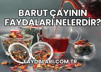 Barut Çayının Faydaları Nelerdir?