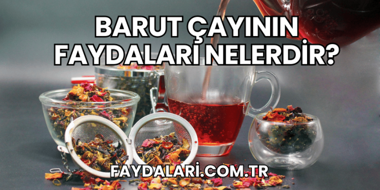 Barut Çayının Faydaları Nelerdir?