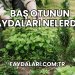 Baş Otunun Faydaları Nelerdir?