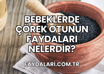 Bebeklerde Çörek Otunun Faydaları Nelerdir?
