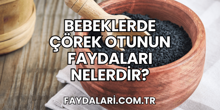 Bebeklerde Çörek Otunun Faydaları Nelerdir?