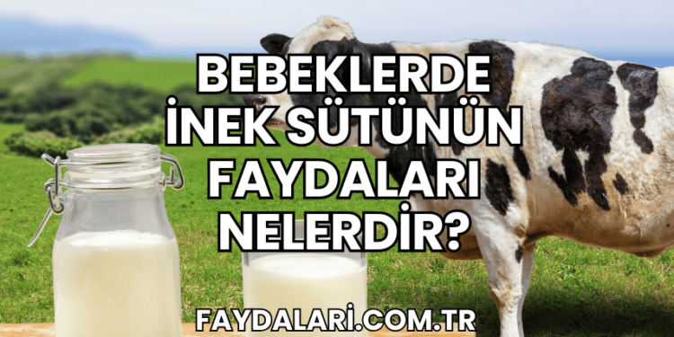 Bebeklerde İnek Sütünün Faydaları Nelerdir?