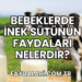 Bebeklerde İnek Sütünün Faydaları Nelerdir?