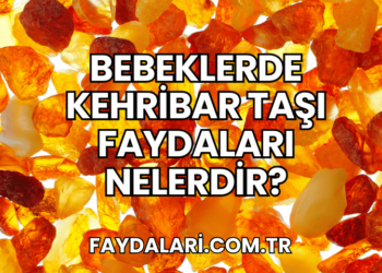 Bebeklerde Kehribar Taşı Faydaları Nelerdir?