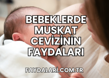 Bebeklerde Muskat Cevizinin Faydaları