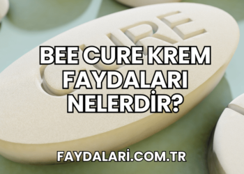 Bee Cure Krem Faydaları Nelerdir?