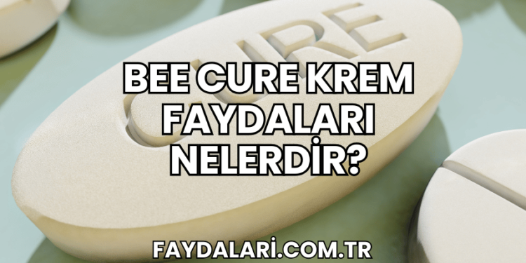 Bee Cure Krem Faydaları Nelerdir?