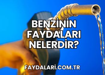 Benzinin Faydaları Nelerdir?
