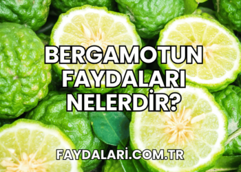 Bergamotun Faydaları Nelerdir?
