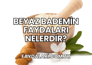 Beyaz Bademin Faydaları Nelerdir?