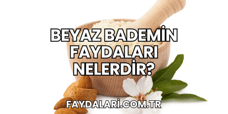 Beyaz Bademin Faydaları Nelerdir?