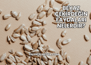 Beyaz Çekirdeğin Faydaları Nelerdir?