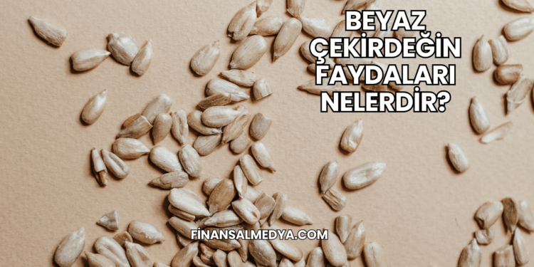 Beyaz Çekirdeğin Faydaları Nelerdir?