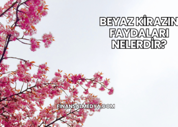 Beyaz Kirazın Faydaları Nelerdir?