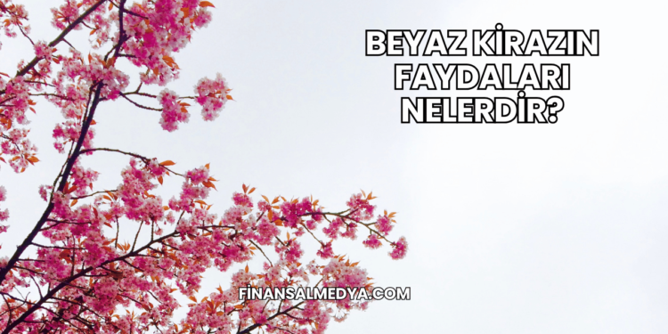 Beyaz Kirazın Faydaları Nelerdir?
