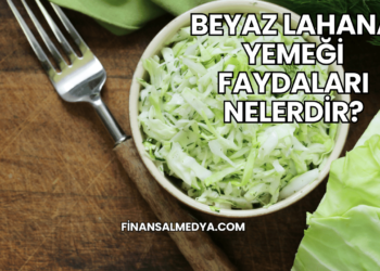 Beyaz Lahana Yemeği Faydaları Nelerdir?