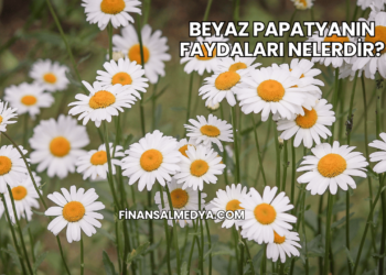 Bioperine Faydaları Nelerdir?