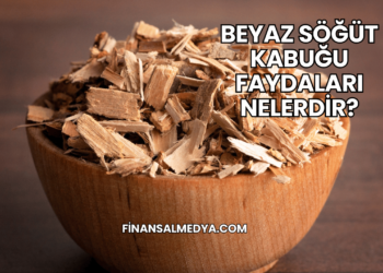 Beyaz Söğüt Kabuğu Faydaları Nelerdir?