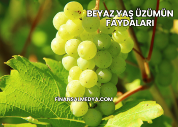 Beyaz Yaş Üzümün Faydaları