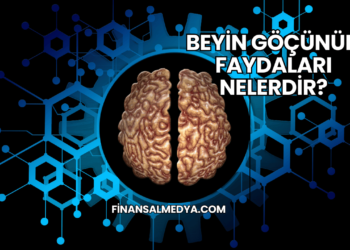 Beyin Göçünün Faydaları Nelerdir?