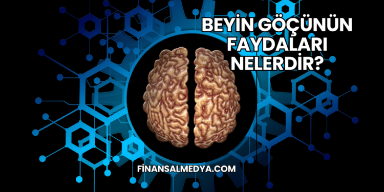 Beyin Göçünün Faydaları Nelerdir?