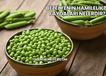 Bezelyenin Hamilelikte Faydaları Nelerdir?