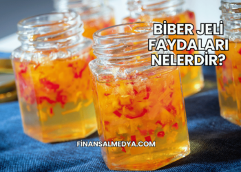 Biber Jeli Faydaları Nelerdir?