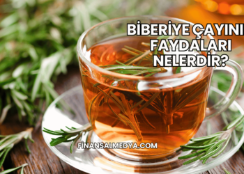 Biberiye Çayının Faydaları Nelerdir?