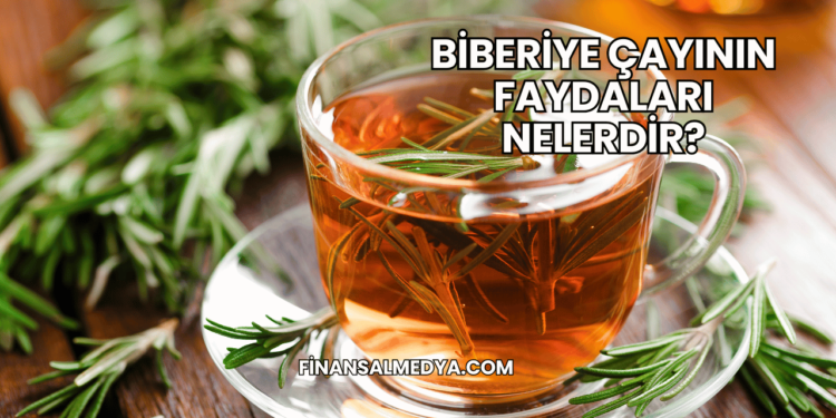 Biberiye Çayının Faydaları Nelerdir?