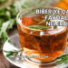 Biberiye Çayının Faydaları Nelerdir?